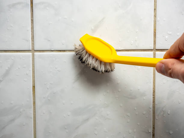 Best Preventive Mold Services in Lake Monticello, VA